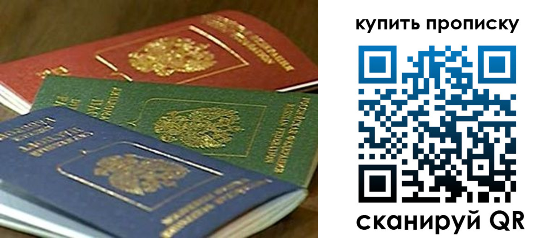регистрация в Камышине